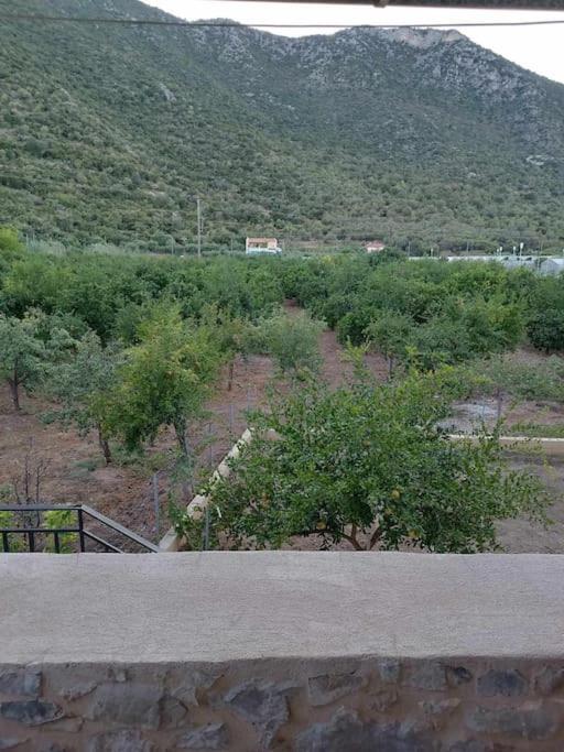 Seaview Maisonette Paradise Plaka  Bagian luar foto