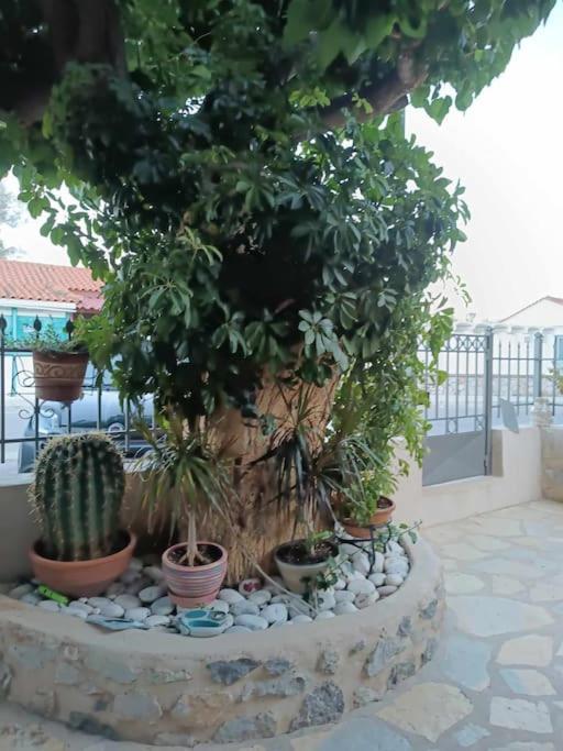 Seaview Maisonette Paradise Plaka  Bagian luar foto